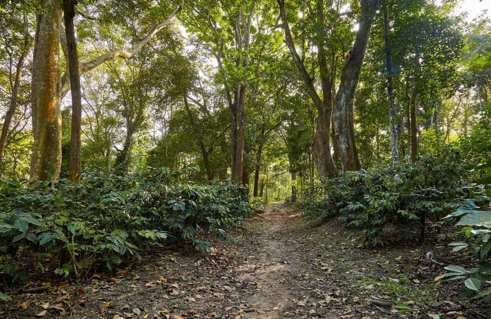 Hirvate Estate / Crawford House Vacation rental in Karnataka