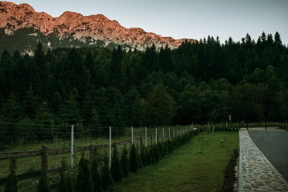 Natural landscape