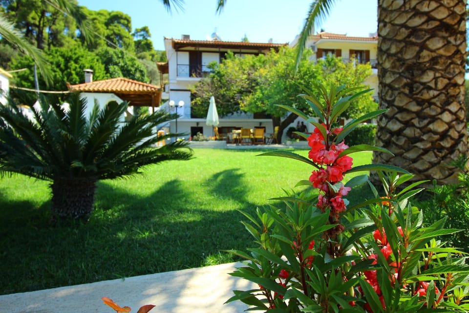 Olympion Apartments Apartment in Sporades, Greece