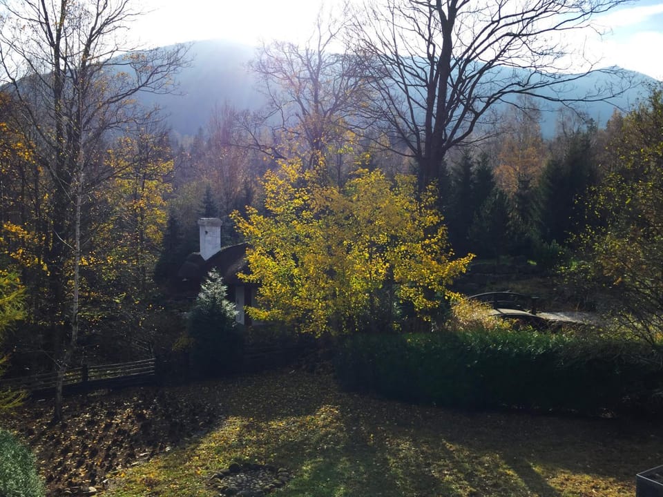 Natural landscape, Autumn, Sunrise