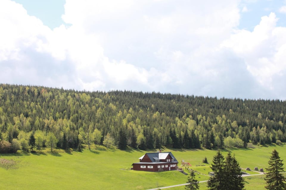 Mountain view