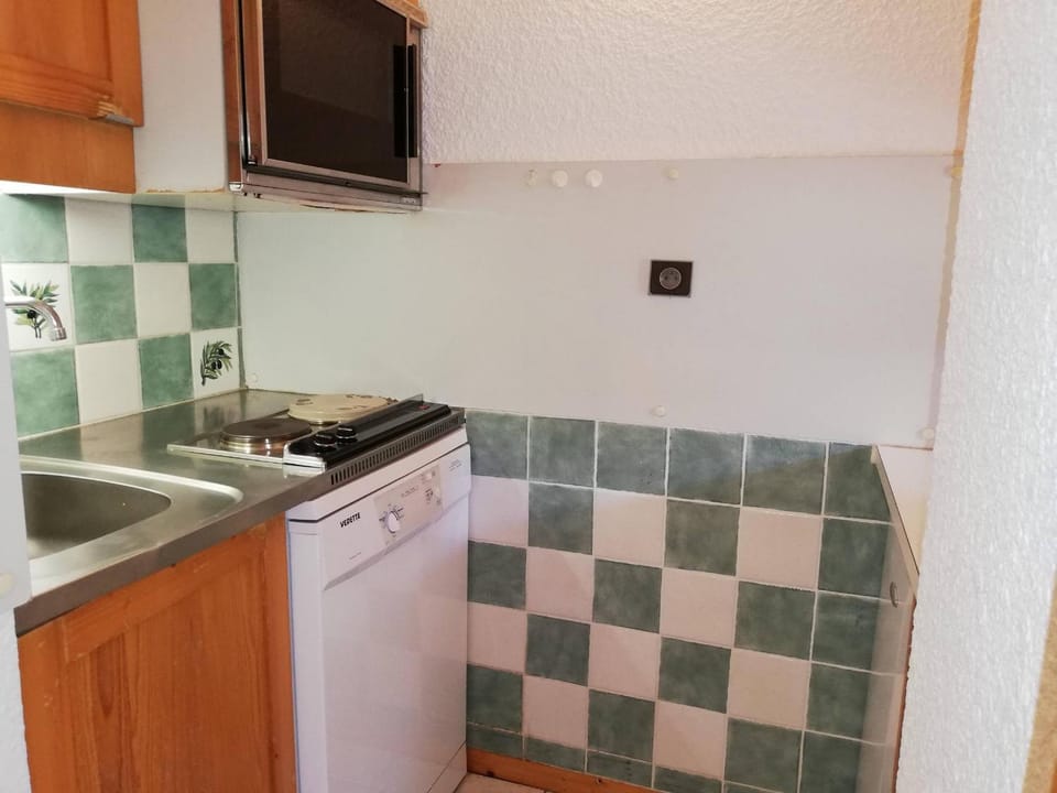 Studio lumineux à 80m des remontées mécaniques, balcon sud, animaux acceptés - FR-1-356-350 Apartment in Les Avanchers-Valmorel