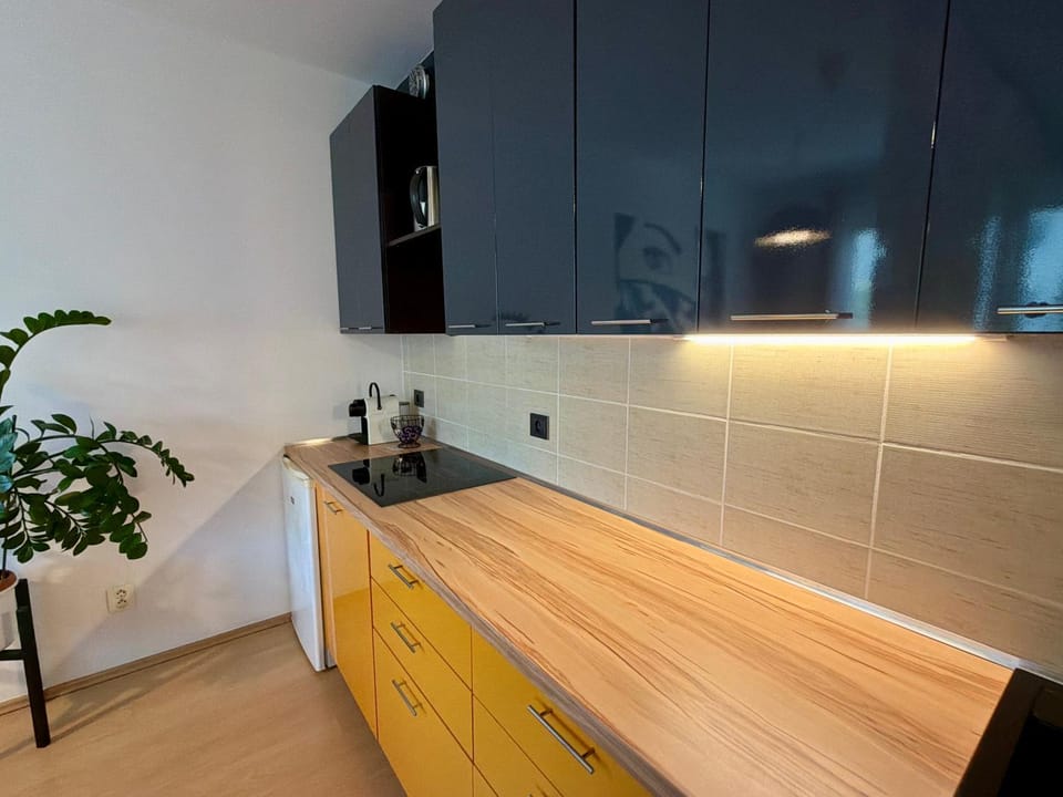 Richie Apartment near Aquapark Apartment in Prague