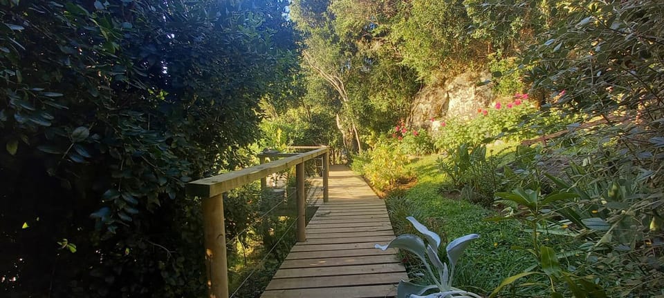 Garden, Garden