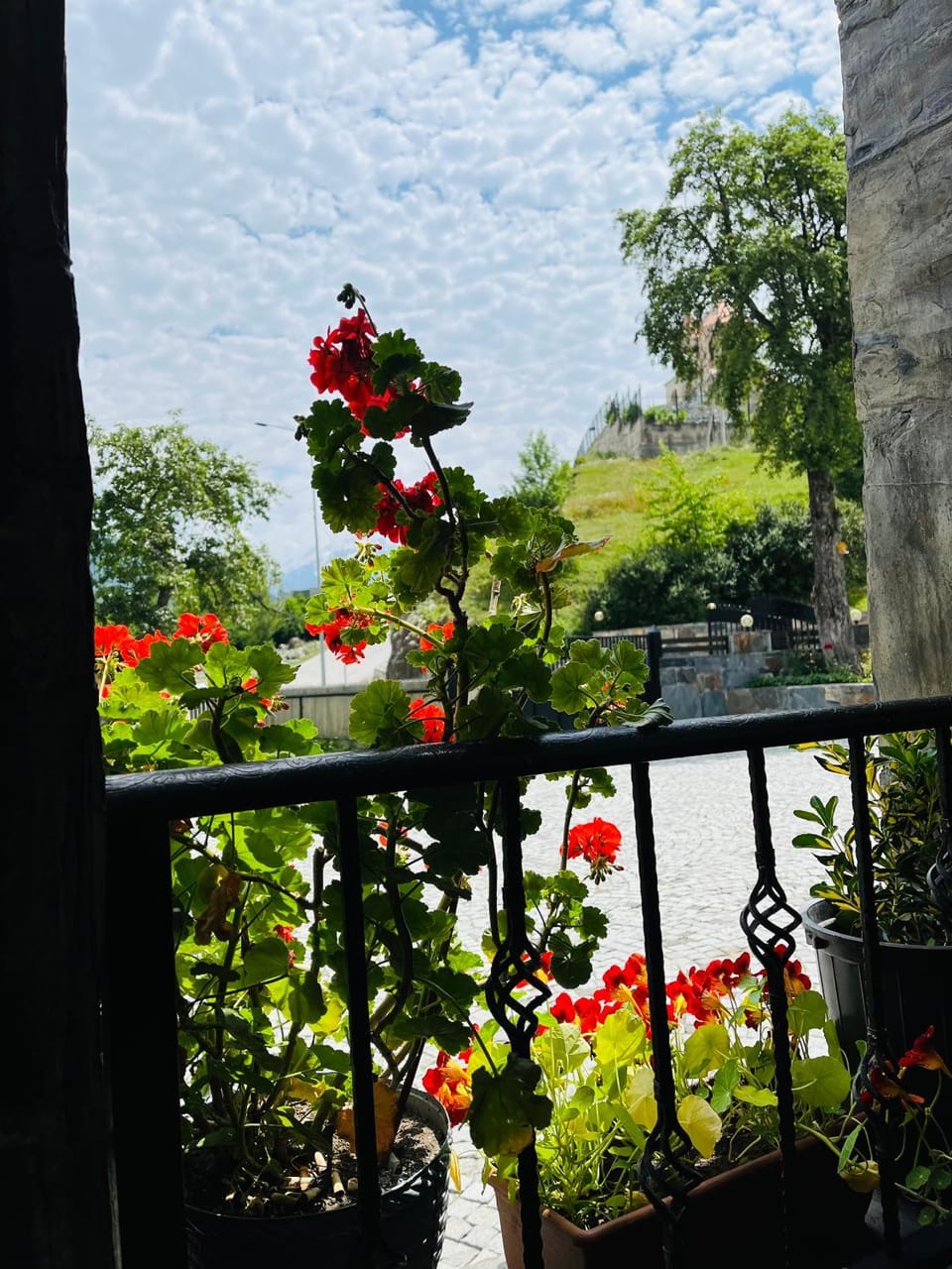 Guesthouse AlpenRose Bed and Breakfast in Georgia