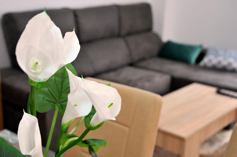 Spring, Day, Decorative detail, Dining area, On site