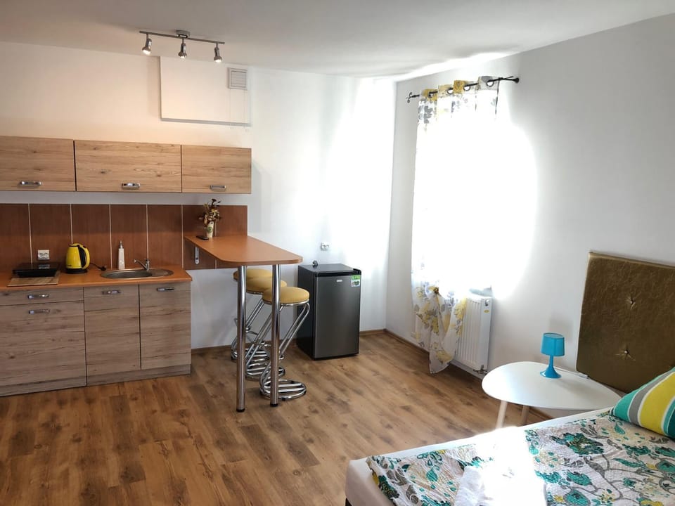 Villa Greta&Beskidy Apartment in Poland