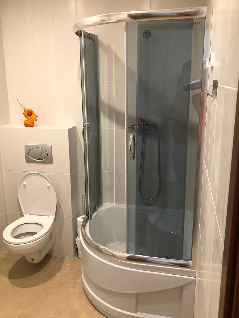 Villa Greta&Beskidy Apartment in Poland