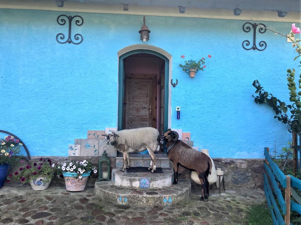 Facade/entrance, Pets
