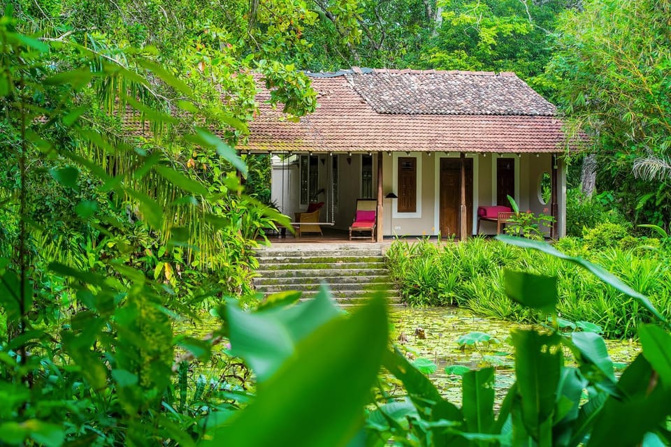 Property building, Natural landscape, Garden, Garden view