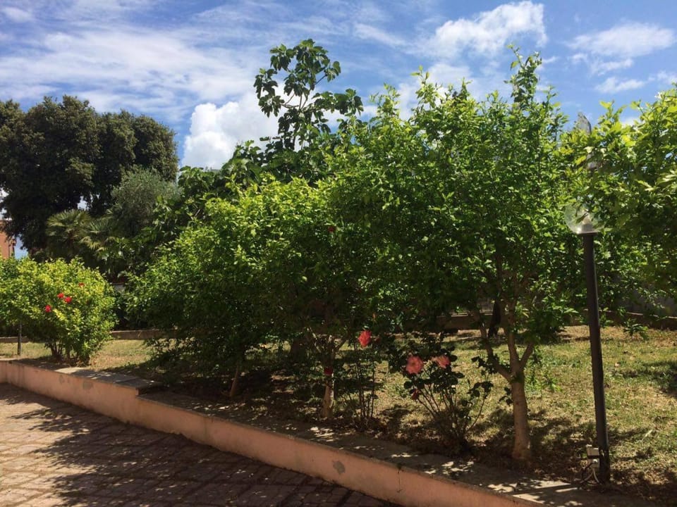 Natural landscape, Summer, Garden