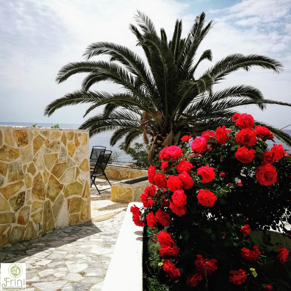 Garden, Internal: Not applicable to any particular room