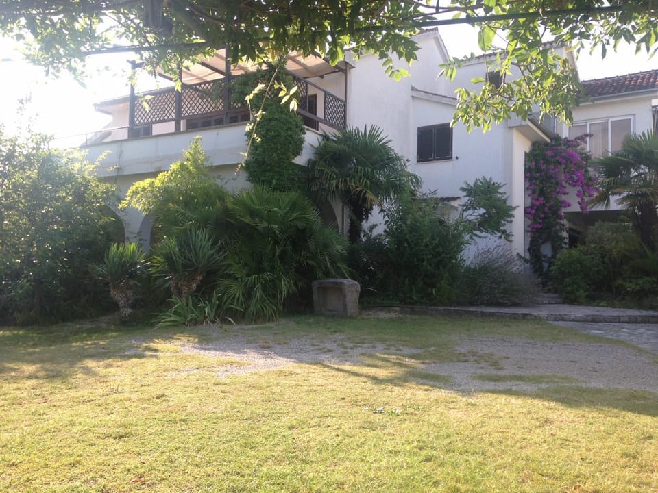 Property building, Facade/entrance, Garden