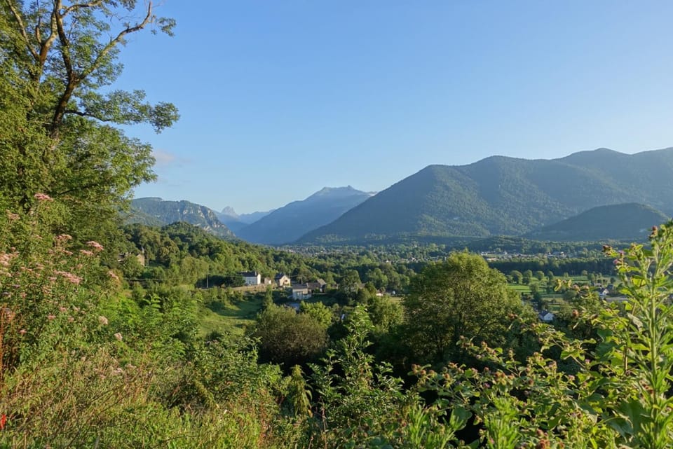 Château de Druon Bed and Breakfast in Nouvelle-Aquitaine