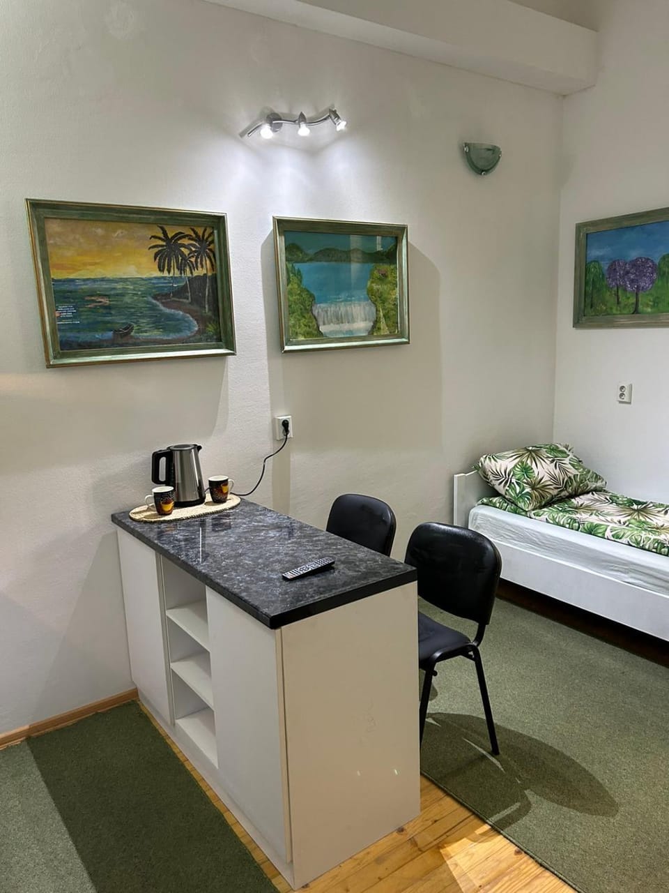 Photo of the whole room