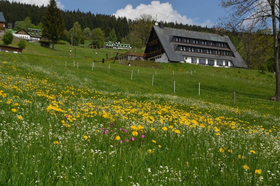 Pension Krakonoš Bed and Breakfast in Lower Silesian Voivodeship