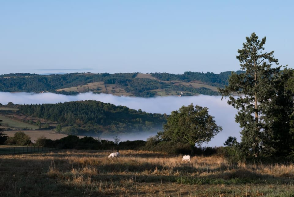 Domaine des Grands Cèdres Bed and Breakfast in Auvergne-Rhône-Alpes