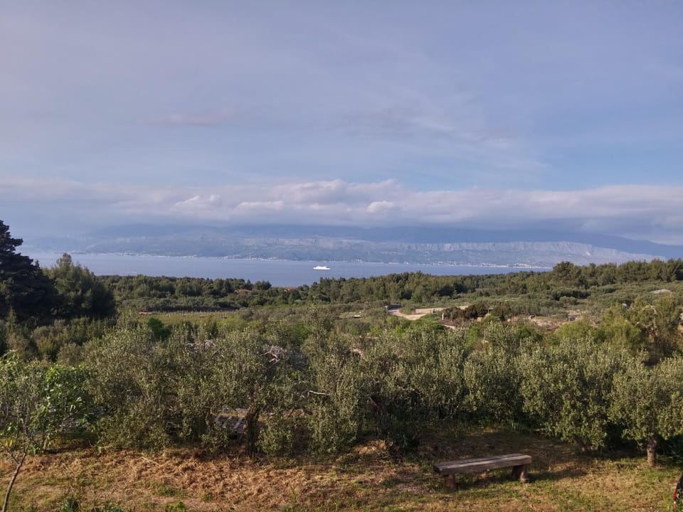 Natural landscape