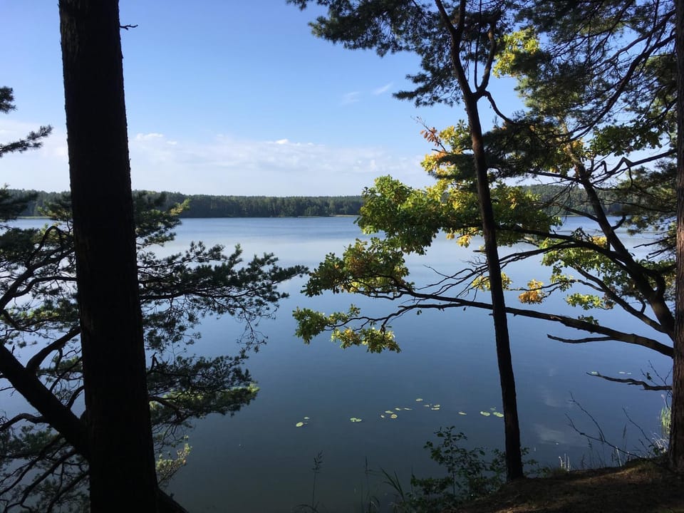 Lake view