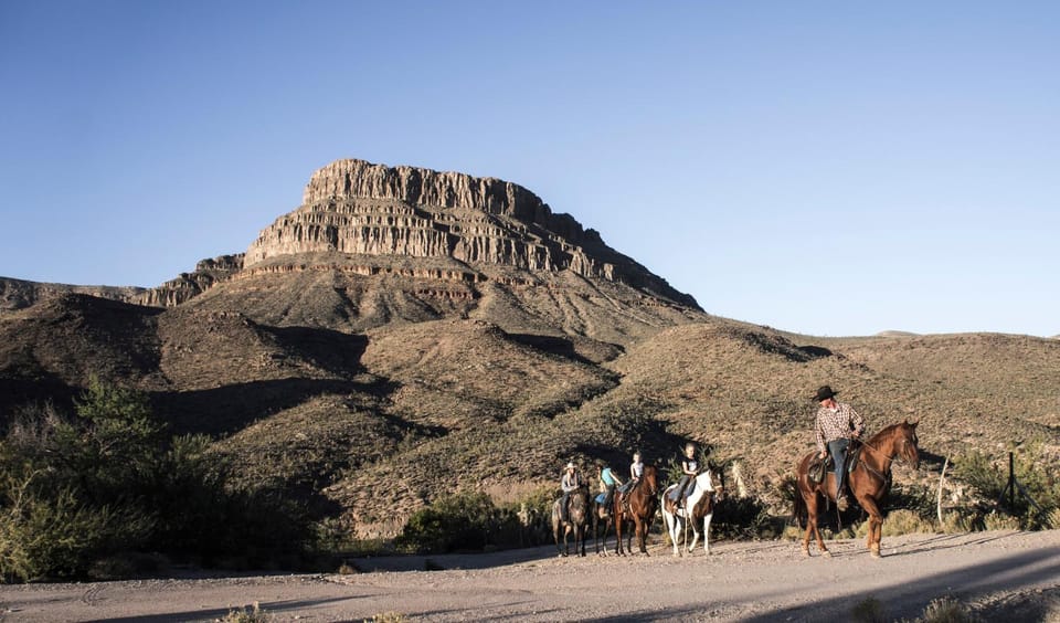 Day, Horse-riding, Mountain view