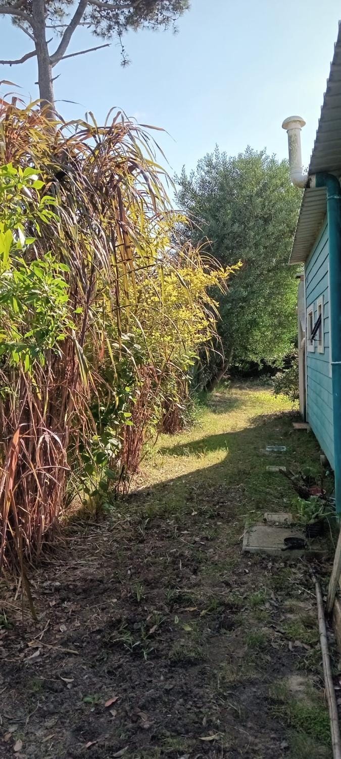 Casa Lulú Nature lodge in La Paloma