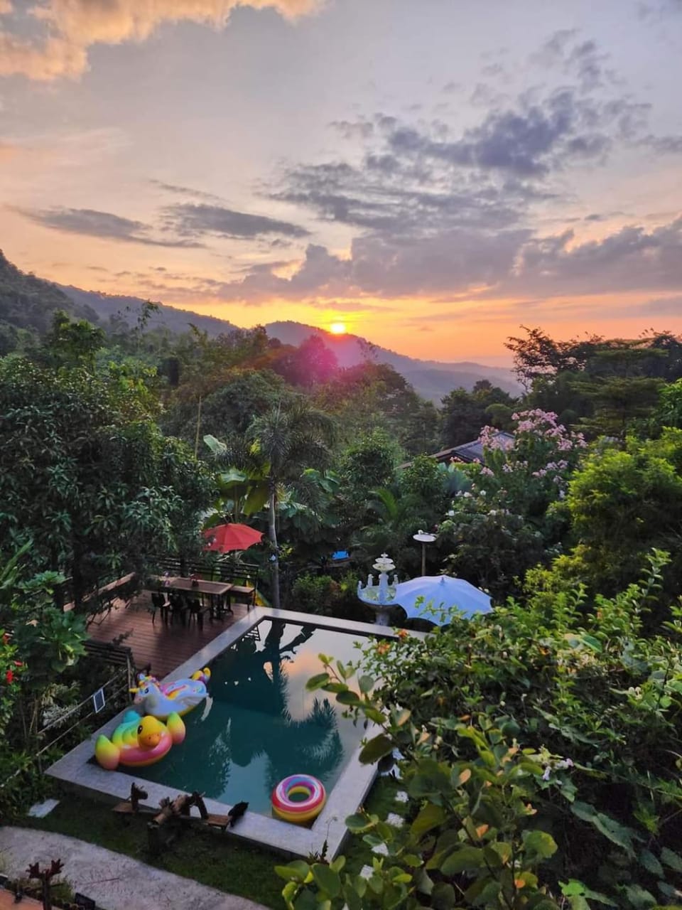 Natural landscape, Garden, Garden view, Mountain view, Swimming pool, Sunrise