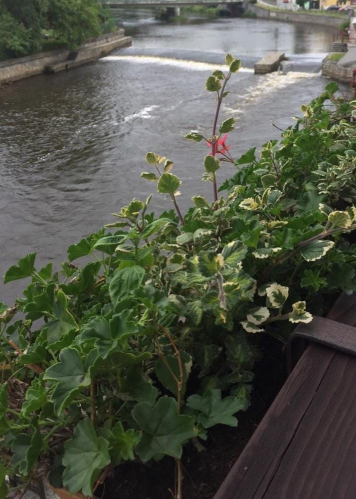 River view