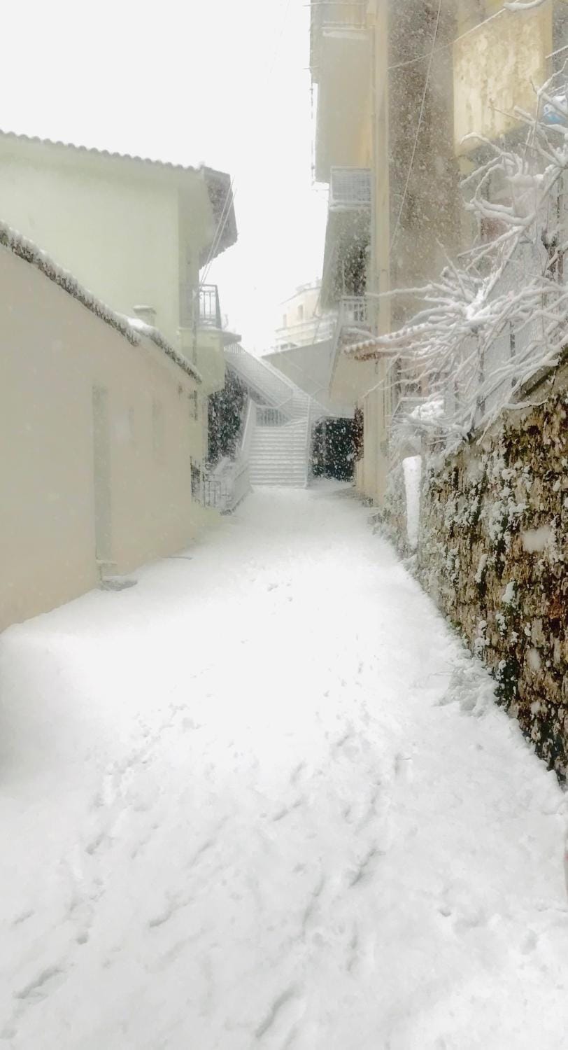 Property building, Neighbourhood, Winter