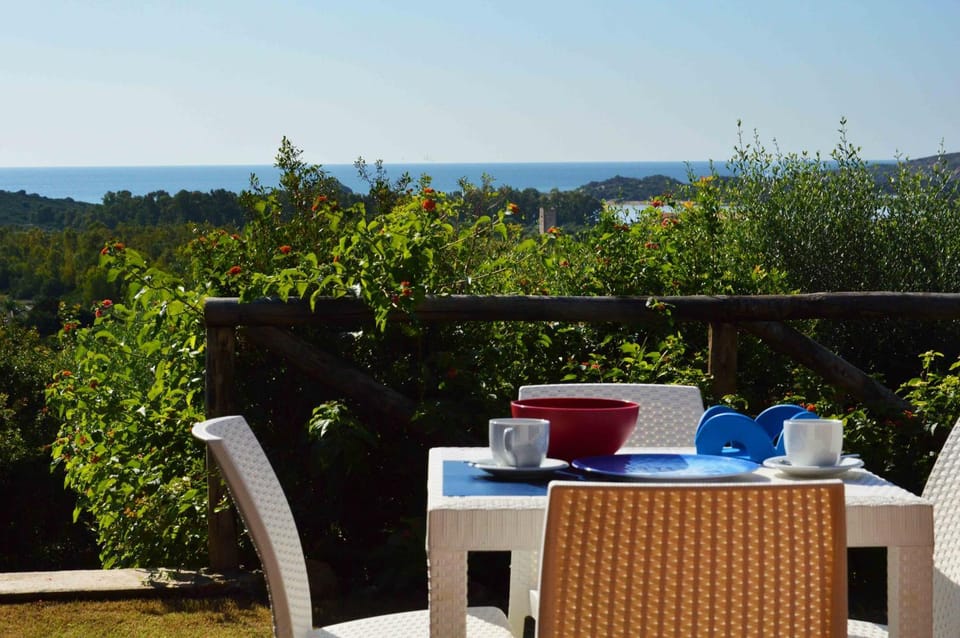 Patio, Garden, Balcony/Terrace