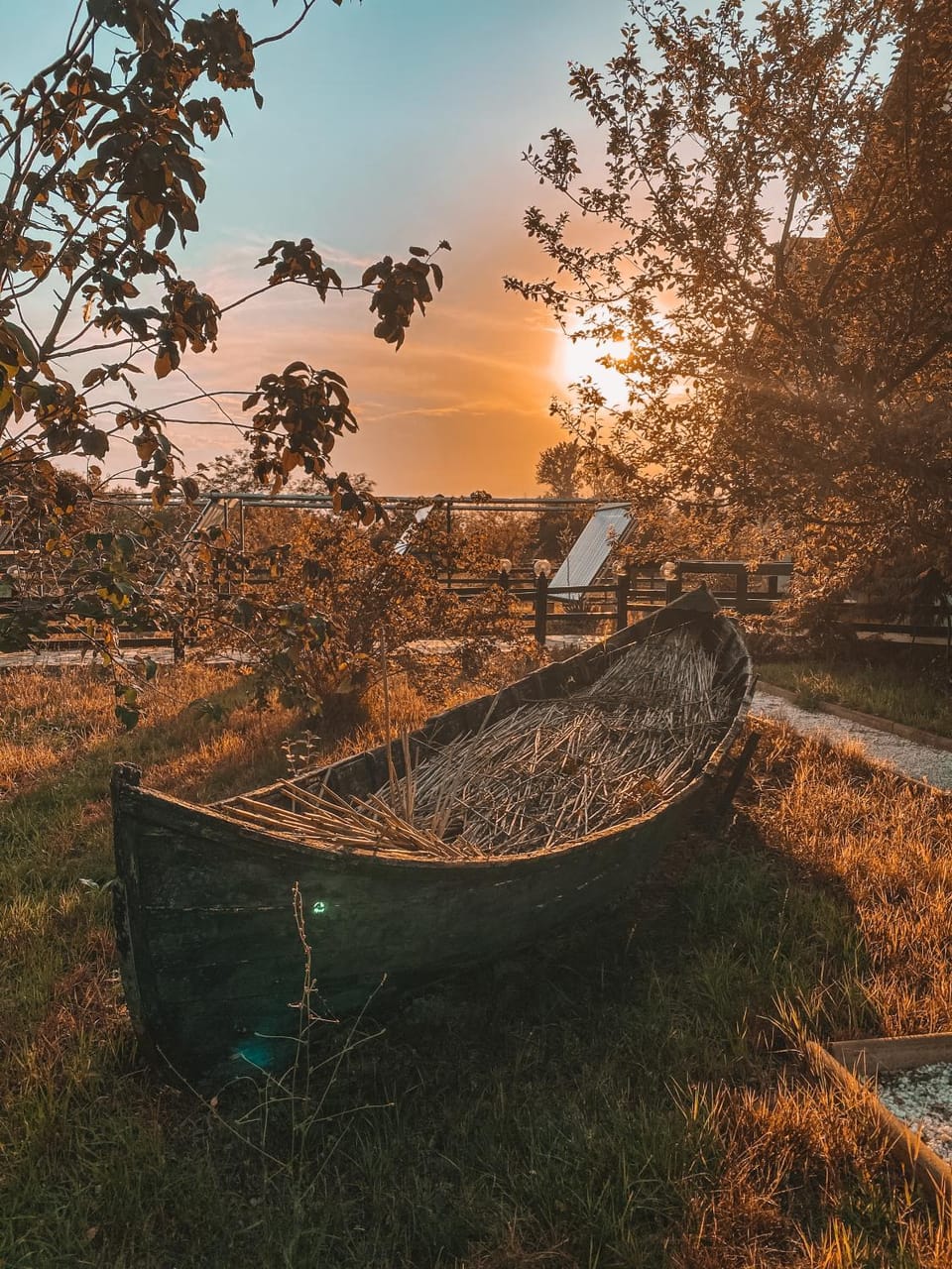 Pensiunea EDEN Bed and Breakfast in Romania