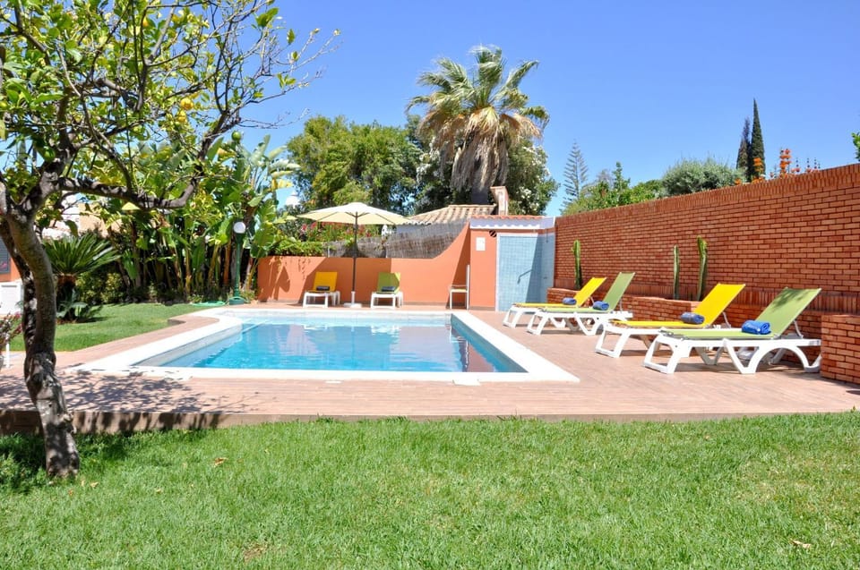 Natural landscape, Garden, Swimming pool, sunbed