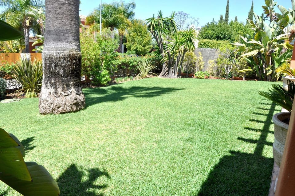Natural landscape, Garden