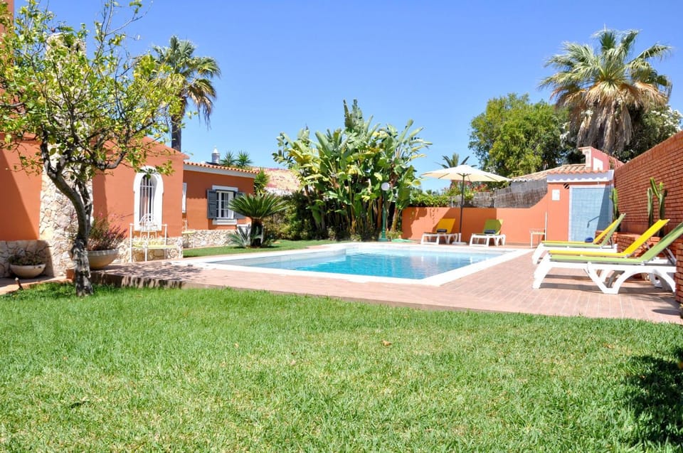 Natural landscape, Garden, Swimming pool, sunbed