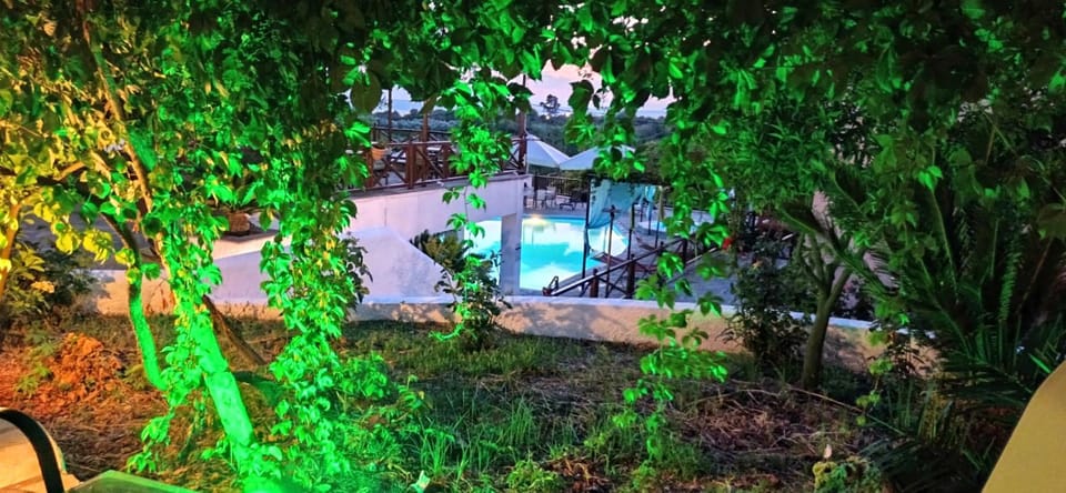 Night, Garden
