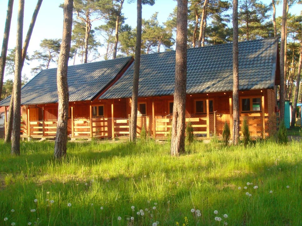 Property building, Area and facilities