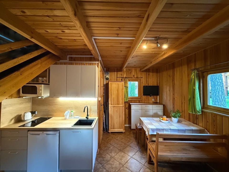 Kitchen or kitchenette, Photo of the whole room
