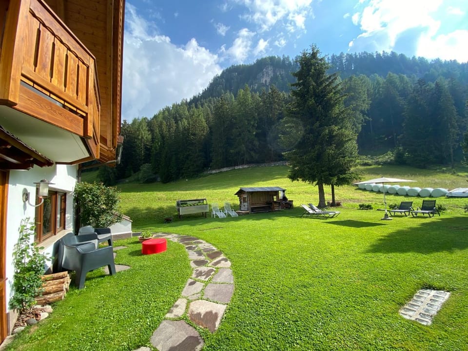 Garden, sunbed