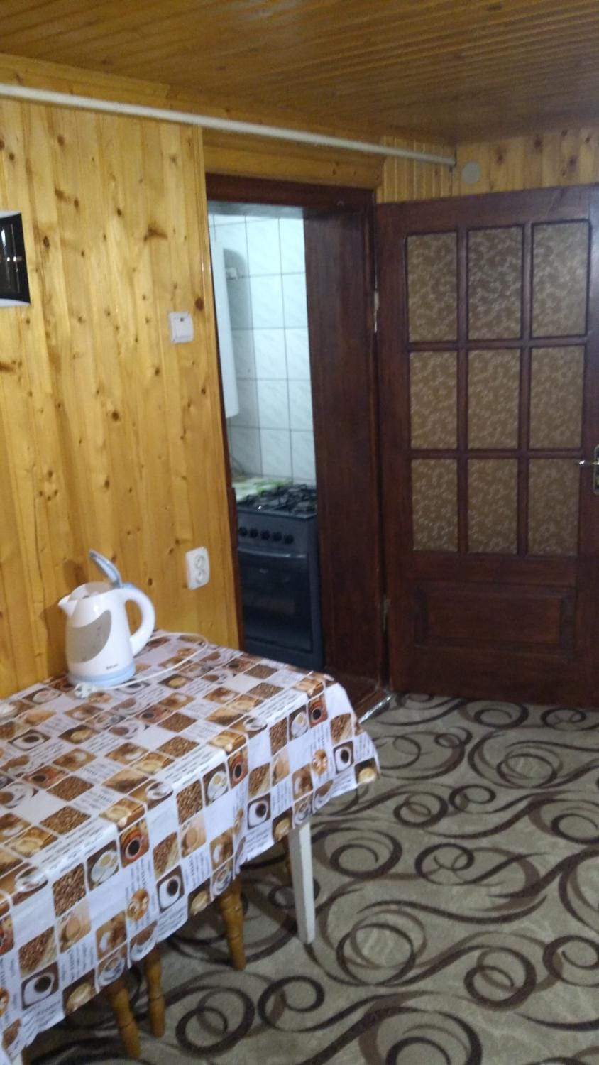 Базилік Люкс Apartment in Ukraine