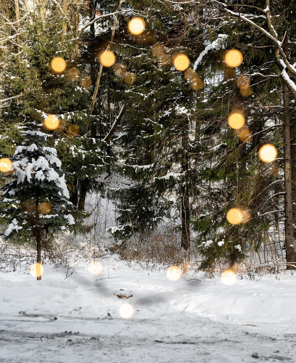 Natural landscape, Winter
