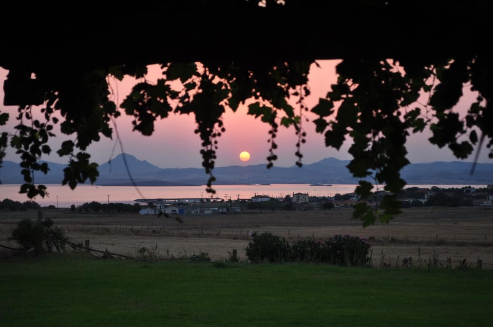 Garden, Sunset
