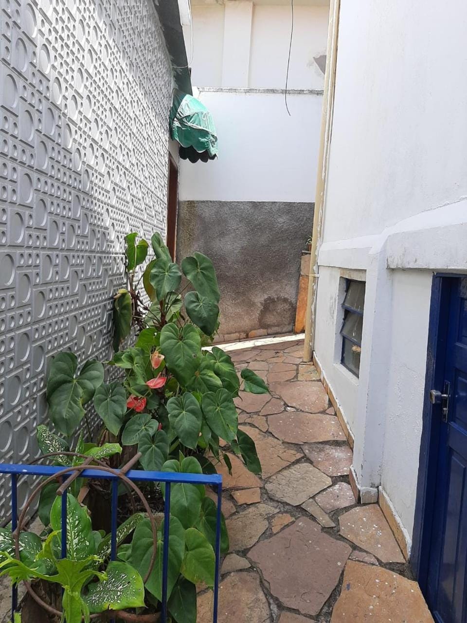Pousada Casa da Cintia Inn in State of Bahia