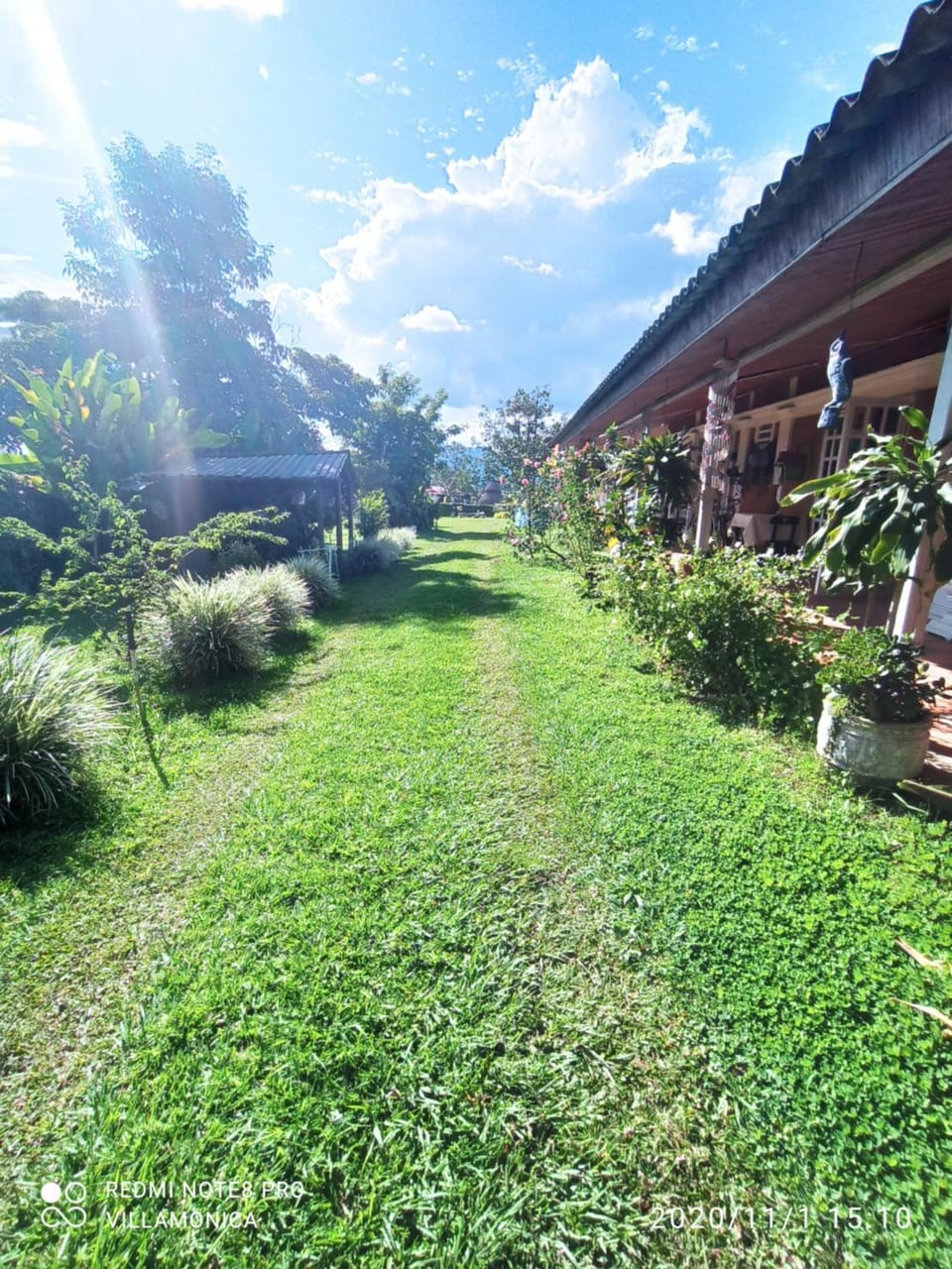 Garden view