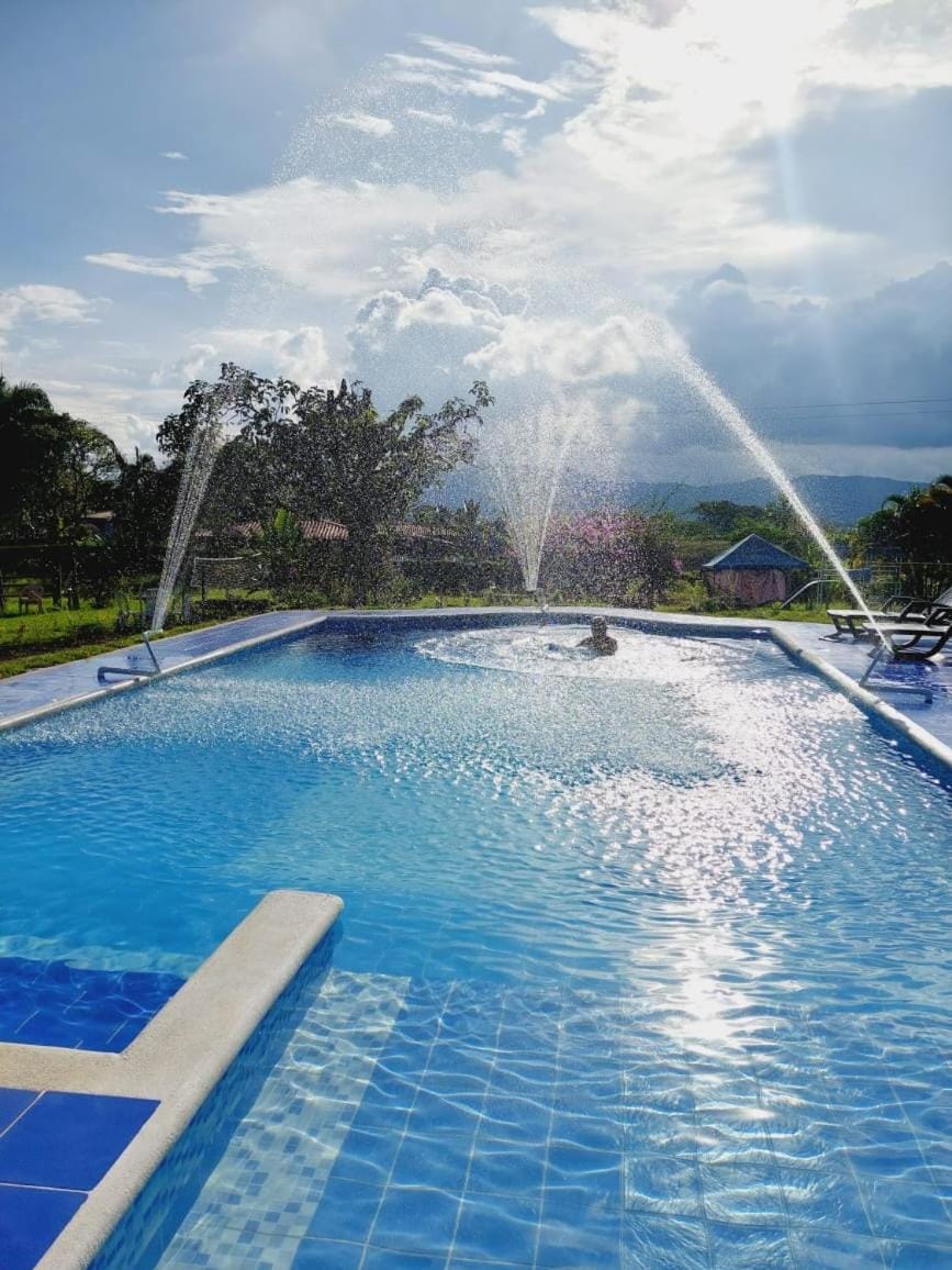 Swimming pool, Swimming pool
