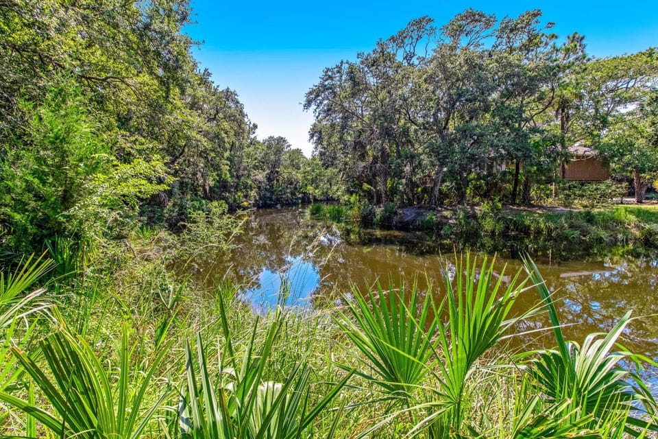 Mariner's Watch 4288 House in Kiawah Island