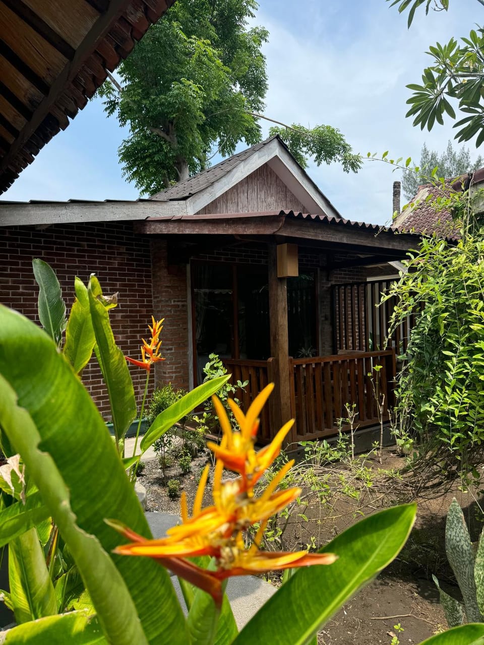 Garden view