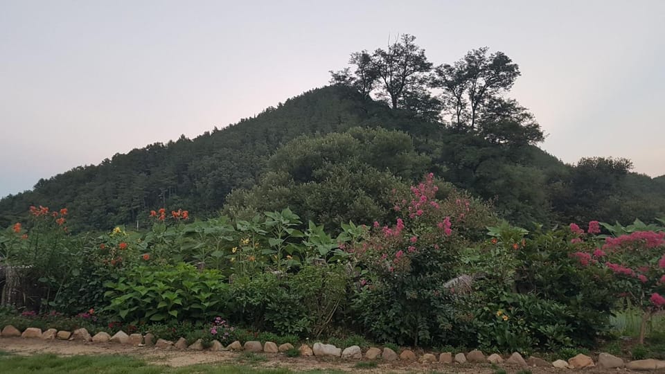 Moonlight House Country House in South Korea