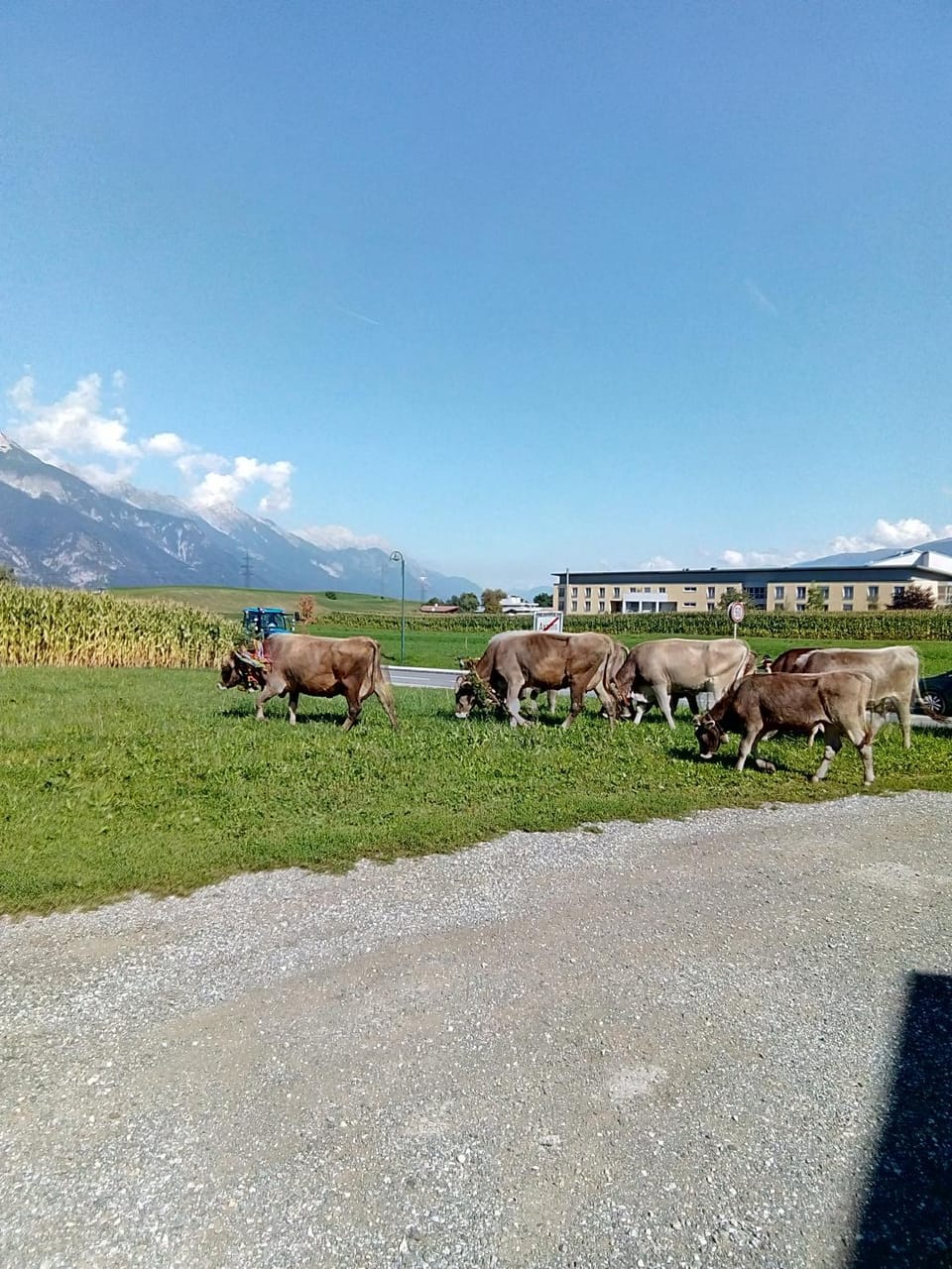 Barschtlerhof Apartment in Tyrol