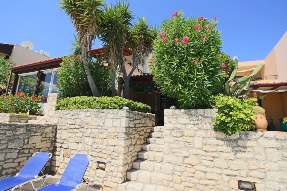 Patio, Garden