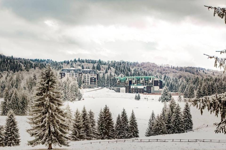 Silver Mountain G1 21 R Apartment in Brasov