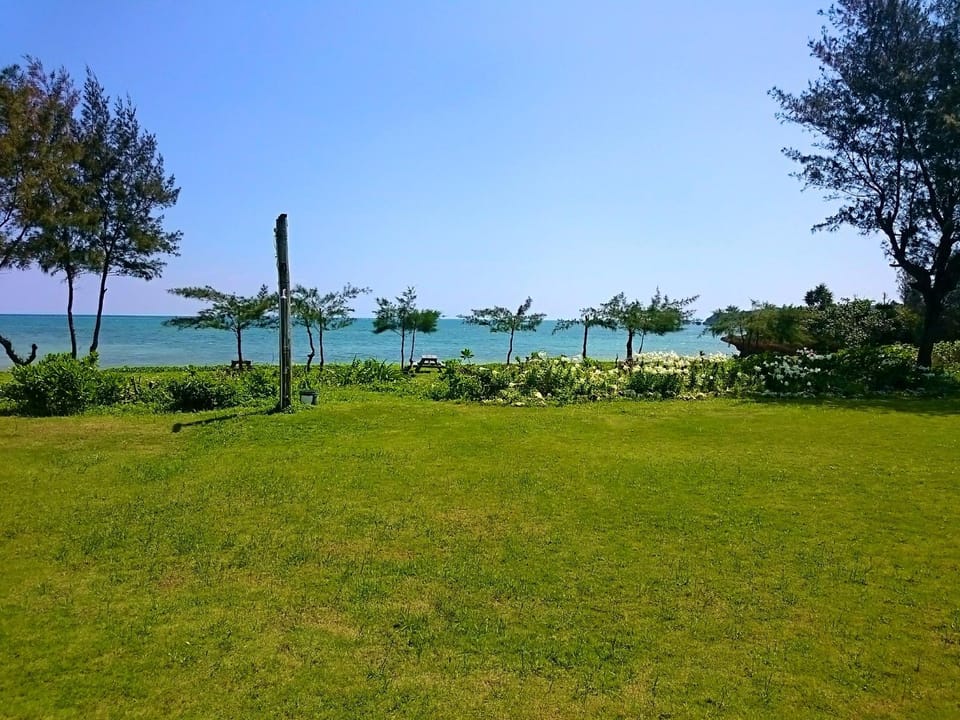 Garden, Sea view